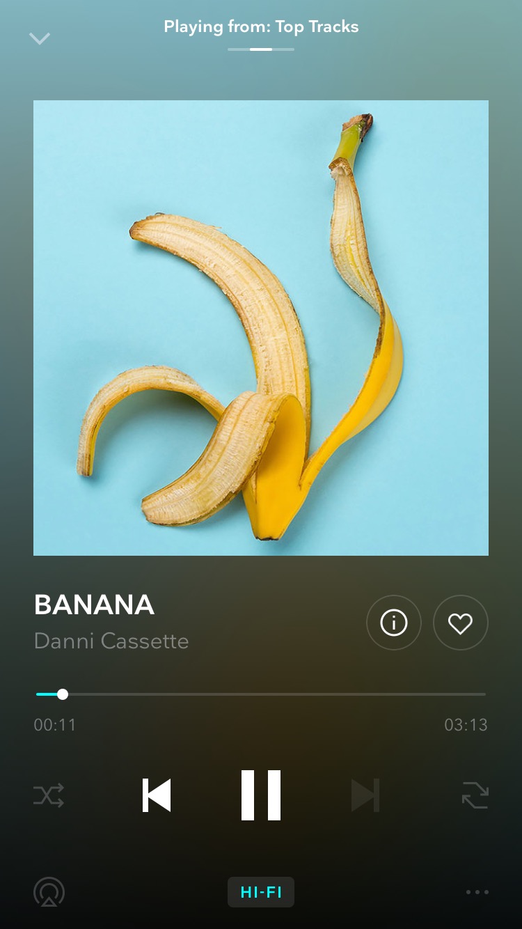 Music Choice: Danni Cassette