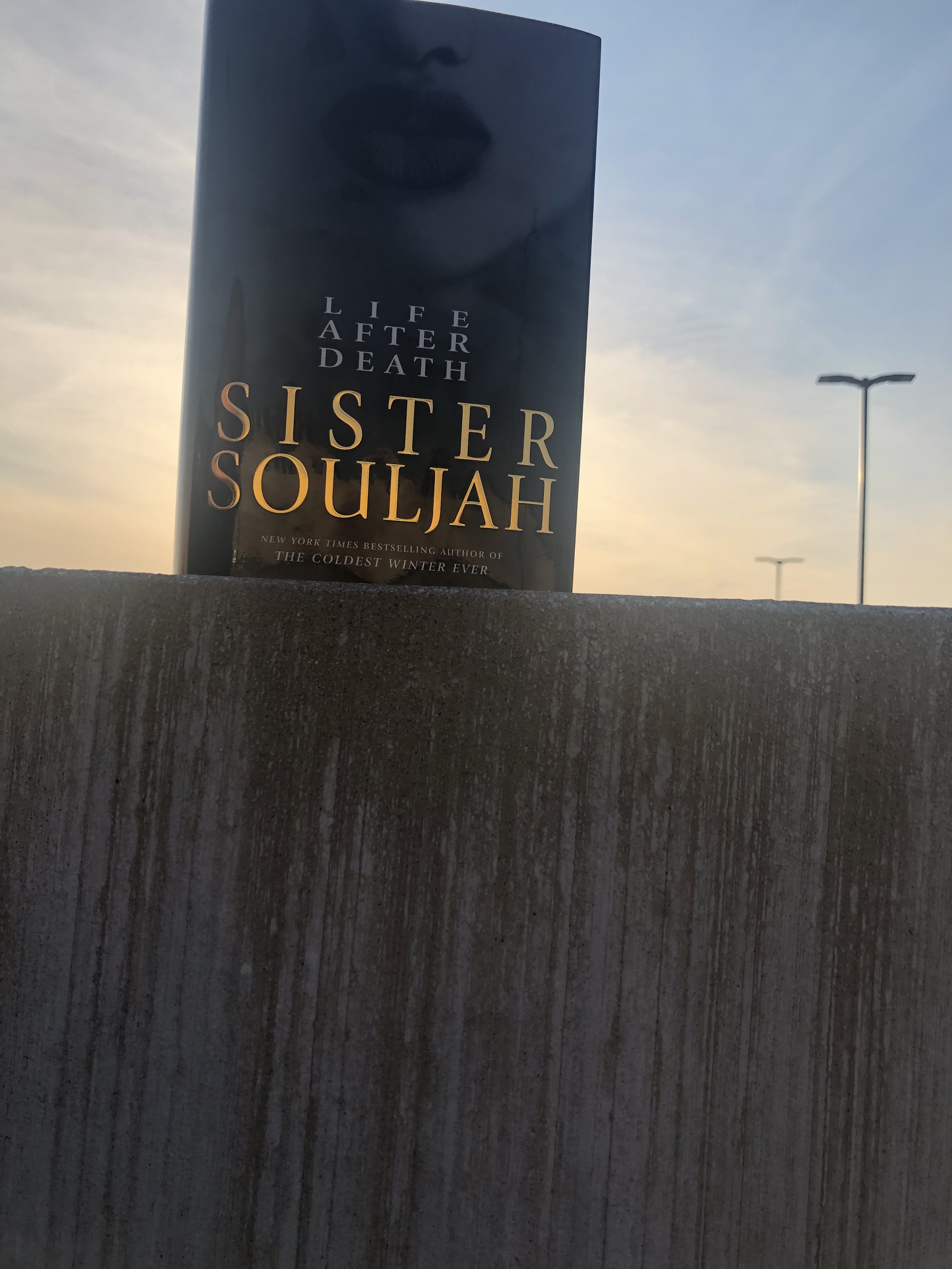 Is ‘Life After Death’ Worth the Wait? (Book Review)